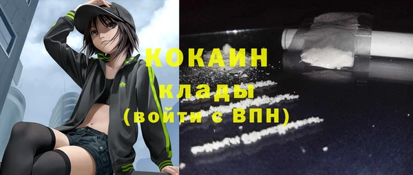 соль курить ск Новодвинск
