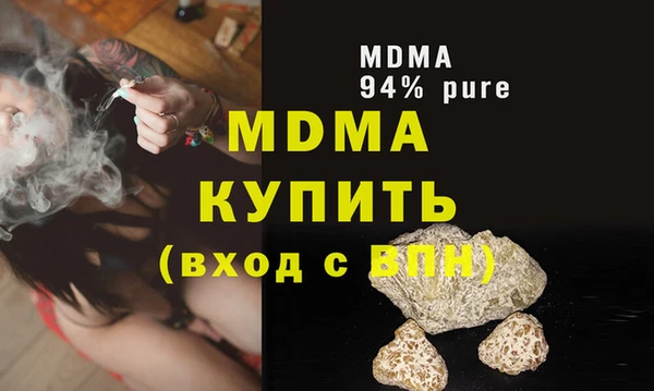 прущие грибы Новозыбков