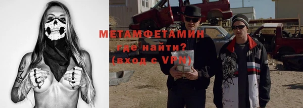 прущие грибы Новозыбков