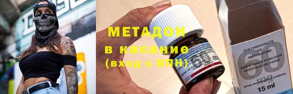 прущие грибы Новозыбков