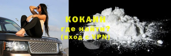 прущие грибы Новозыбков