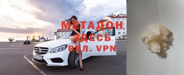 прущие грибы Новозыбков