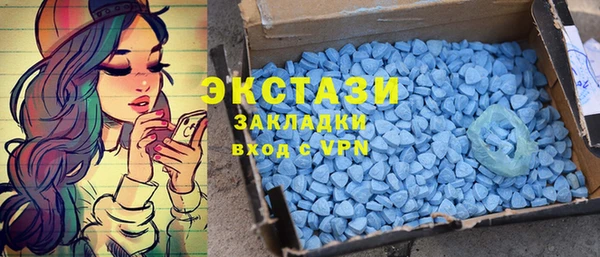 прущие грибы Новозыбков