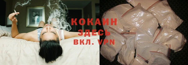 прущие грибы Новозыбков