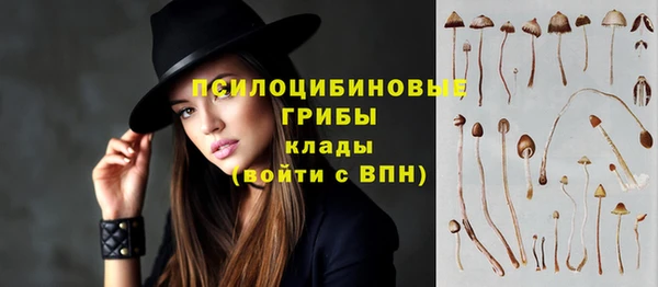 соль курить ск Новодвинск