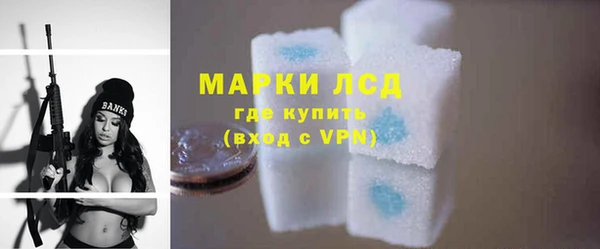 прущие грибы Новозыбков