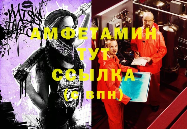 прущие грибы Новозыбков