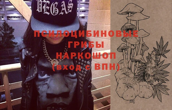 соль курить ск Новодвинск