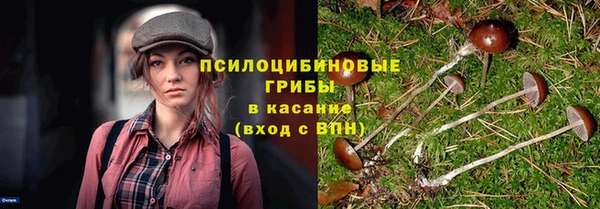 соль курить ск Новодвинск