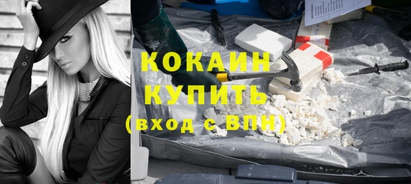 прущие грибы Новозыбков