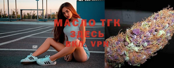 прущие грибы Новозыбков