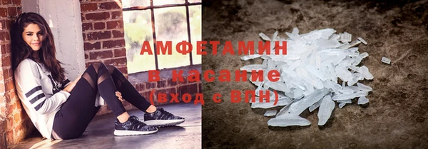прущие грибы Новозыбков
