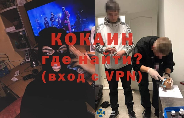 прущие грибы Новозыбков