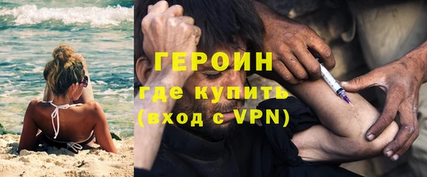 прущие грибы Новозыбков