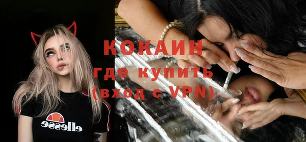 прущие грибы Новозыбков