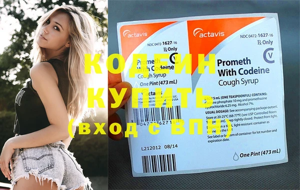 прущие грибы Новозыбков