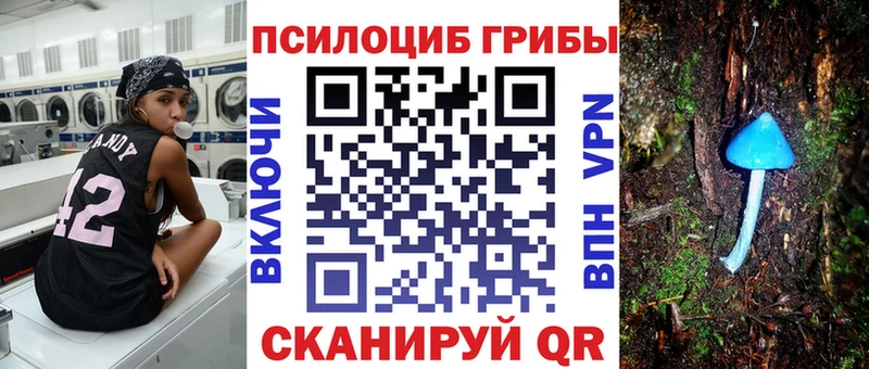 Псилоцибиновые грибы мухоморы  Купить  Юрьев-Польский 
