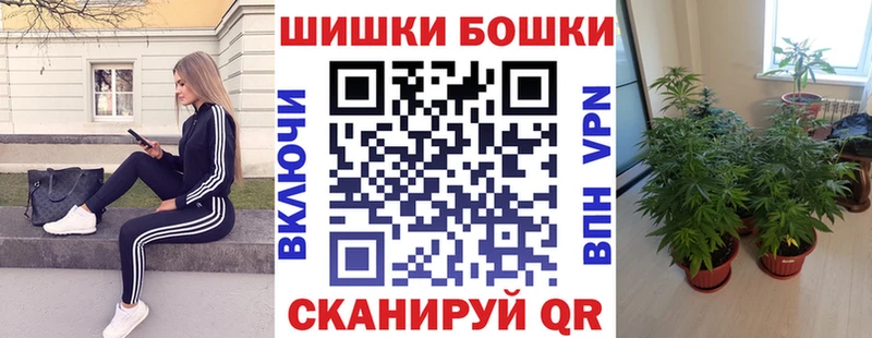 Купить Юрьев-Польский Шишки марихуана MAZAR